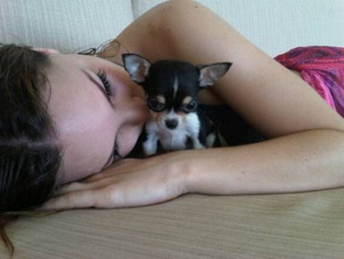 Belinda dio a conocer en twitter a su nueva mascota
