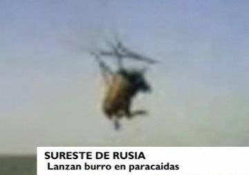 Crueldad humana en Rusia: Lanzan un burro en parapente Crueldad humana en Rusia: Lanzan un burro en parapente
