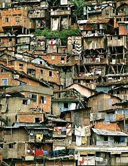 Ecologia en Brasil: En Río de Janeiro, las favelas ponen en peligro áreas ecológicas Ecologia en Brasil: En Río de Janeiro, las favelas ponen en peligro áreas ecológicas