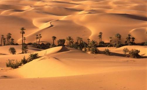 Libia se quedó sin Internet desde el viernes