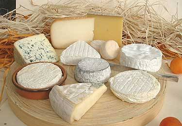Importancia del Queso
