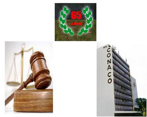 Anularon remate judicial del Edificio Institucional de CONACO