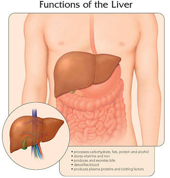 Ensayan con éxito una vacuna contra la hepatitis E