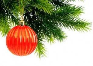 ¿Árbol de Navidad natural o de plástico?