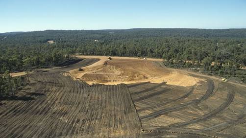 Hay bosques del tamaño de Rusia que 'pueden ser reforestado'