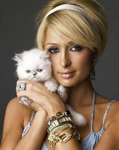 Paris Hilton fue acosada por un hombre con cuchillos Paris Hilton fue acosada por un hombre con cuchillos