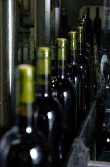 Vino y Aceite, la presencia de Aragón en Madrid Fusión
