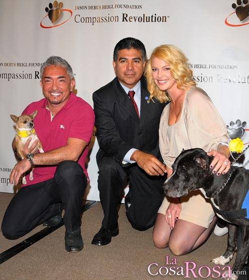 Katherine Heigl en campaña para esterilizar perros en Los Angeles