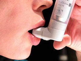 Receptores pulmonares de sabor podrían ayudar en casos de asma