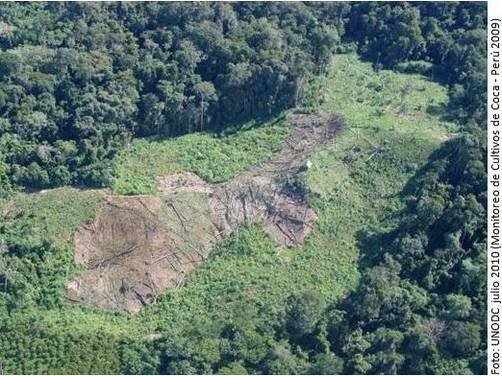 El narcotráfico en la selva peruana