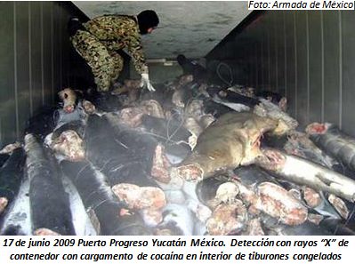 AUMENTA SALIDA DE DROGAS VÍA MARÍTIMA AUMENTA SALIDA DE DROGAS VÍA MARÍTIMA