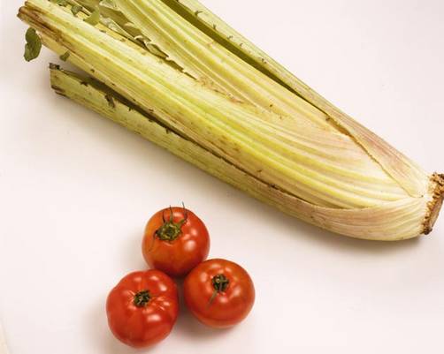 Verduras de Invierno