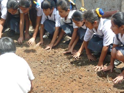 Instalación de los Biohuertos Educativos Abiertos