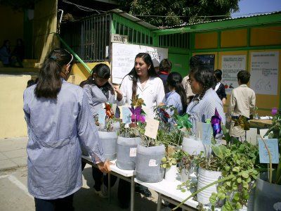 Vecinos de San Juan de Lurigancho organizan Feria Ambiental