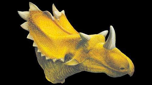 Científicos encuentran nuevos dinosaurios relacionados al 'Triceratops'
