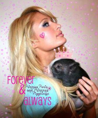 Paris Hilton enseña a su cerda Princess Piggelette en Twitter
