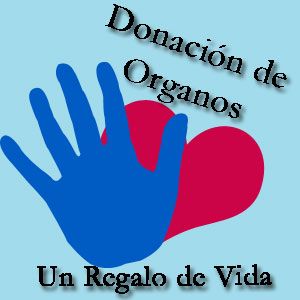 Cerca de cinco mil personas fueron sensibilizadas sobre la importancia de la donación de órganos Cerca de cinco mil personas fueron sensibilizadas sobre la importancia de la donación de órganos