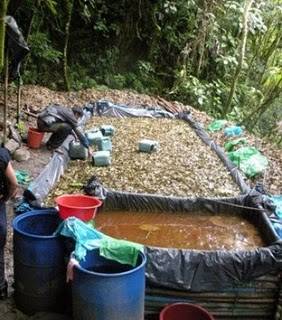 Policía destruye siete laboratorios rusticos de PBC en Ucayali y Cusco