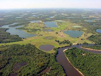 Brasil: Una importante sequía afecta la selva amazónica y el Pantanal