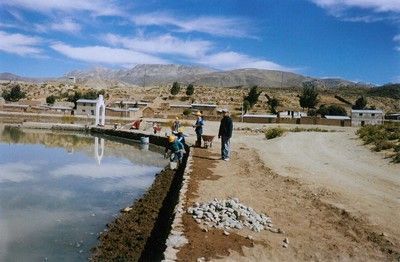 LOS NUCLEOS EJECUTORES LOS NUCLEOS EJECUTORES
