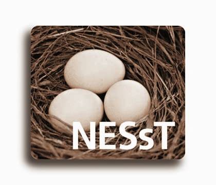 NESsT incorpora herramientas del mundo privado y promueve la sustentabilidad en organizaciones sin fines de lucro del Perú