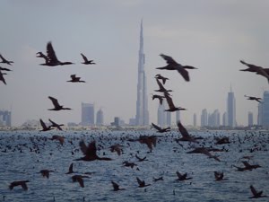 Dubai y la industria de la construcción Dubai y la industria de la construcción