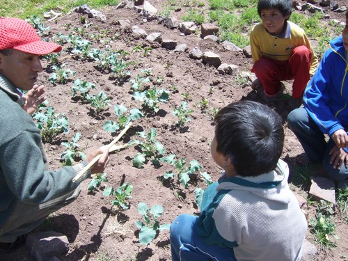 La aritmética con brócolis La aritmética con brócolis