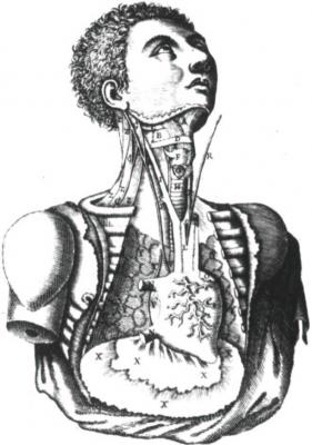 La gran pluma de Jaime Bedoya La gran pluma de Jaime Bedoya