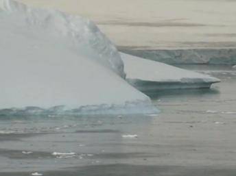 París: Se inicia una nueva edición del Festival Internacional del Environnement con más de 140 sobre la naturaleza