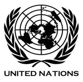 Wikileaks: La ONU fue investigada por los Estados Unidos