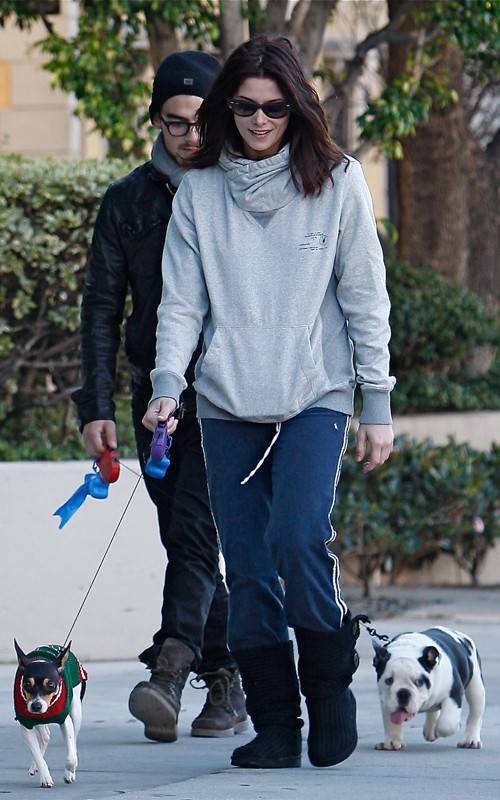 Joe Jonas y Ashley Greene fotografiados paseando a sus perros