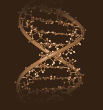 La manipulación genética La manipulación genética