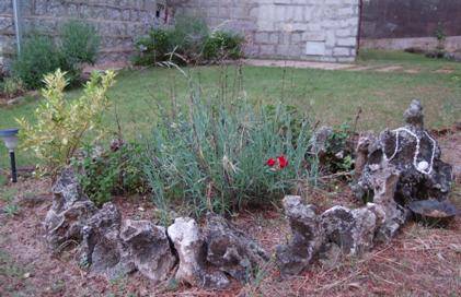 Mis Jardineras: La experiencia ecológica en mi hogar