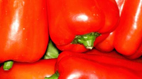 El pimiento rojo podría ayudar a combatir obesidad
