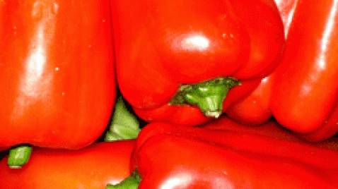 El pimiento rojo podría ayudar a combatir obesidad