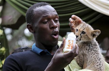 Productos Lacteos: Requisitos Sanitarios para la Leche de Camella Productos Lacteos: Requisitos Sanitarios para la Leche de Camella