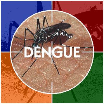 Dengue en Lima, después de 15 años del inicio de epidemia en Perú