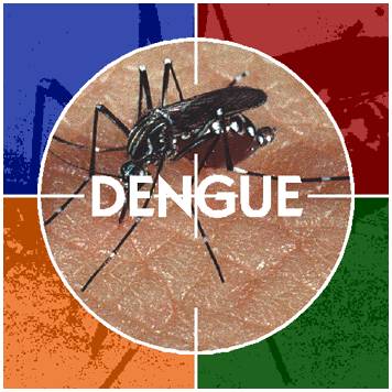 Dengue en Lima, después de 15 años del inicio de epidemia en Perú Dengue en Lima, después de 15 años del inicio de epidemia en Perú