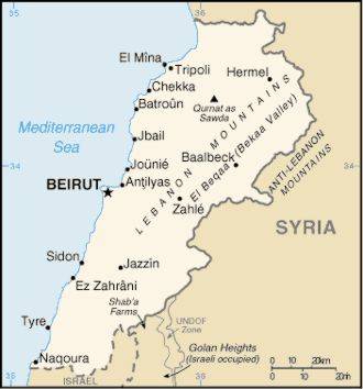 Líbano: Decenas de miles desfilan en Beirut contra el poderío armado del Hezbolá