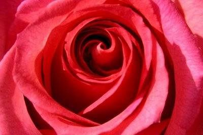 El amor eterno un reto posible de alcanzar