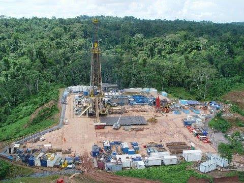 Problemática del gas en Perú: Foro del gas peruano