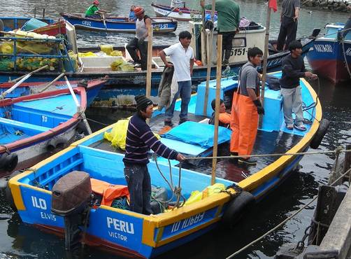 1,000 pescadores artesanales pagaran más por seguro social debido al aumento de la R.M.V.
