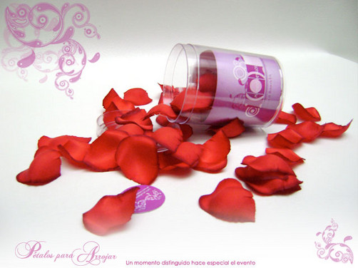 HASTA PRONTO FELIPE... PÉTALOS DE ROSAS ROJAS PARA TI