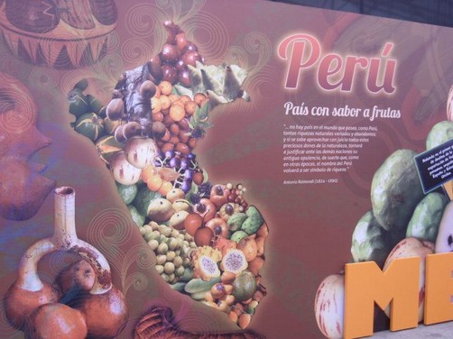 Las Frutas de Mistura: Galería de Fotos