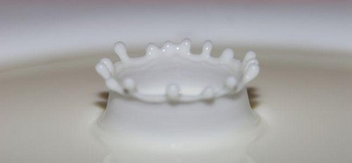 Los Consumidores Necesitan Alimentos Omega 3: Los Lácteos Pueden Ofrecérselos Los Consumidores Necesitan Alimentos Omega 3: Los Lácteos Pueden Ofrecérselos