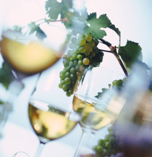 Aprende a preparar: Churú Aprende a preparar: Churú