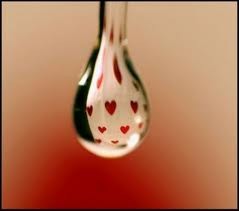 La inmundicia en el Islam La inmundicia en el Islam