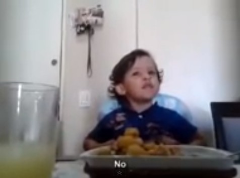 Un niño de tan solo tres años explica por qué no quiere comer animales Un niño de tan solo tres años explica por qué no quiere comer animales