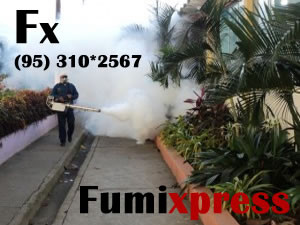 Fumixpress SRL: Fumigaciones en casas, oficinas, empresas e instituciones 792-0365 / 957-9128-87 Fumixpress SRL: Fumigaciones en casas, oficinas, empresas e instituciones 792-0365 / 957-9128-87