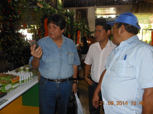 PROYECTOS DE CADENA DE PEQUEÑAS AGROINDUSTRIAS PROYECTOS DE CADENA DE PEQUEÑAS AGROINDUSTRIAS